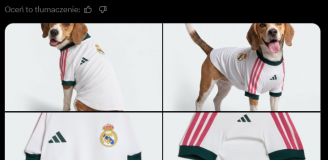 HIT! Taką KLUBOWĄ KOSZULKĘ Adidas wypuścił dla... PSÓW!